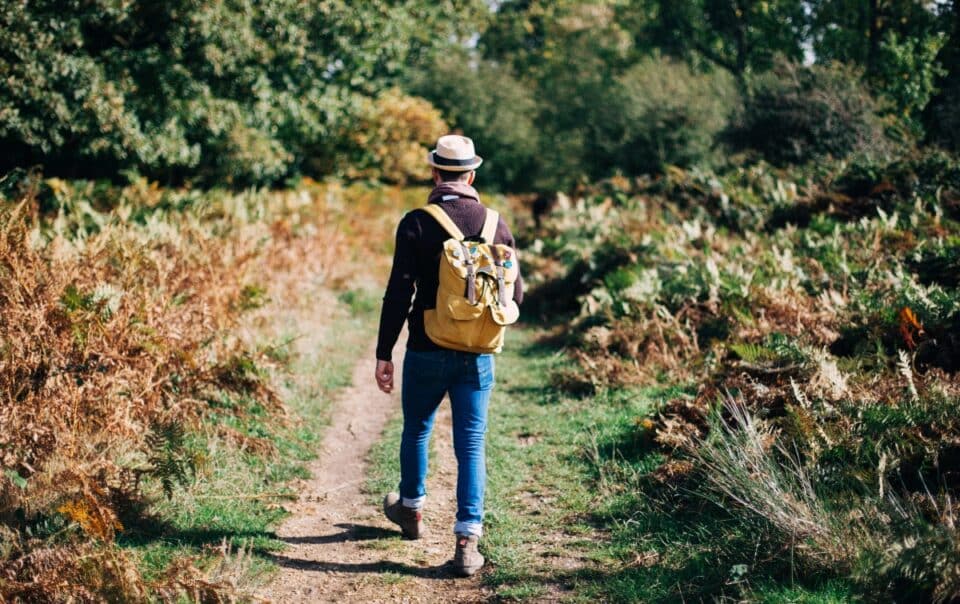 Walking in Nature and Its Effect on Addiction Recovery