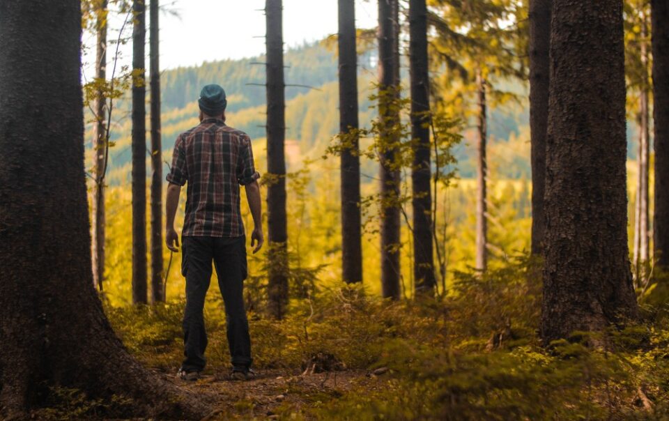 man in woods