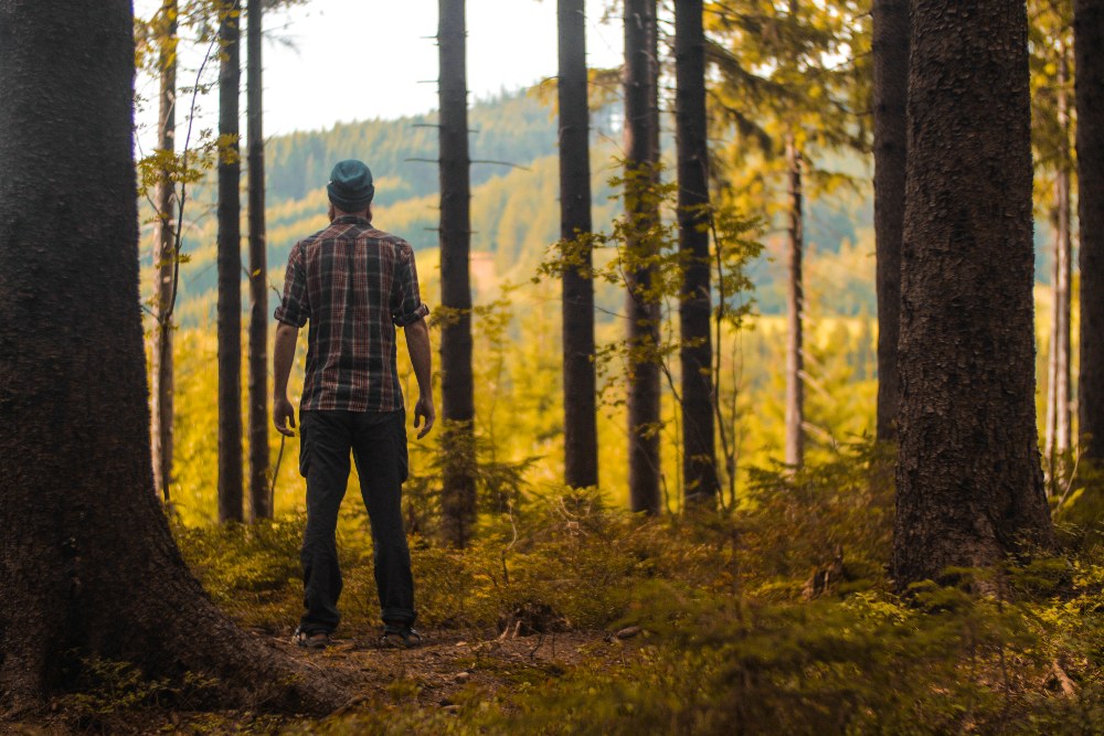 man in woods
