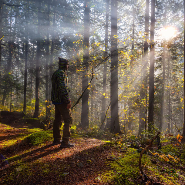 What are the benefits of forest bathing? Man standing in a forest while a sunbeam shines on him.